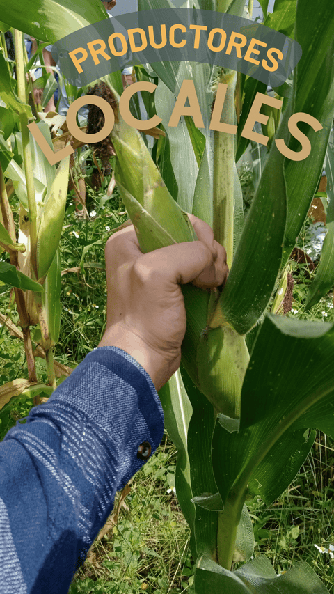 ¡El alimento nos une!